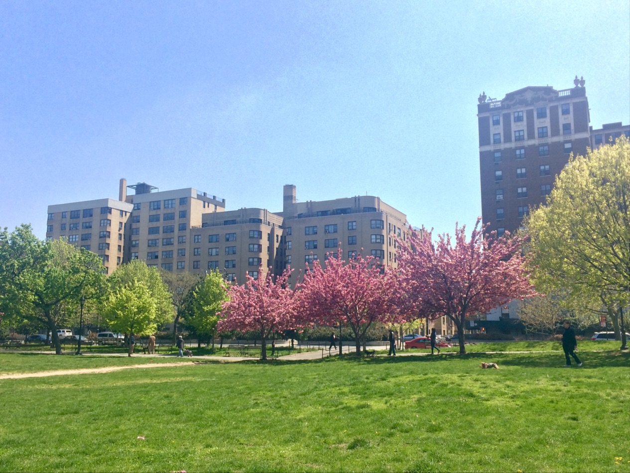 Photo of Joyce Kilmer Park in Bronx City, New York, United States - 1 Picture of Point of interest, Establishment, Park