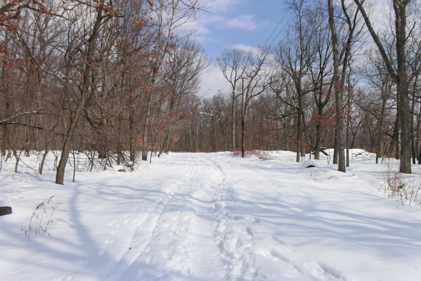 Photo of Eagle Rock Reservation in West Orange City, New Jersey, United States - 7 Picture of Point of interest, Establishment, Park