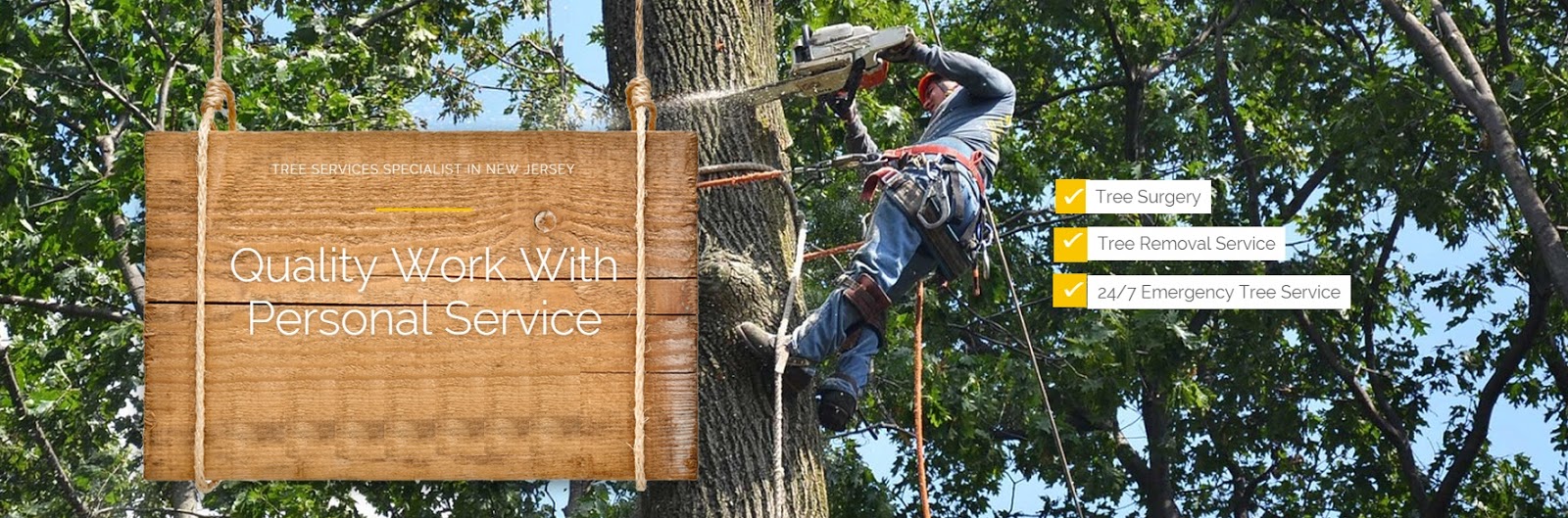 Photo of White Birch Tree Service in Livingston City, New Jersey, United States - 1 Picture of Point of interest, Establishment, General contractor