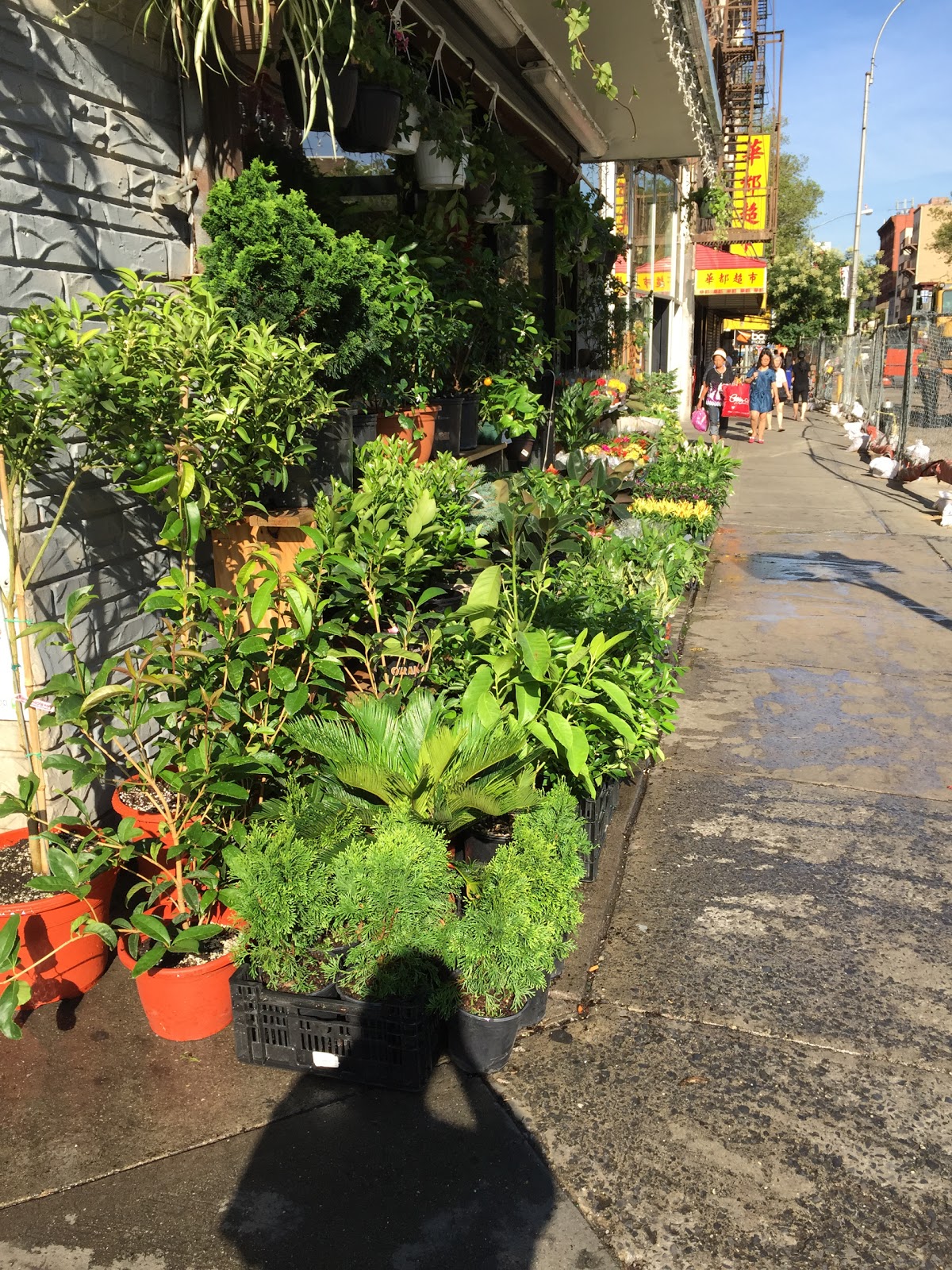 Photo of Dahing flower/gift shop in New York City, New York, United States - 5 Picture of Point of interest, Establishment, Store, Florist