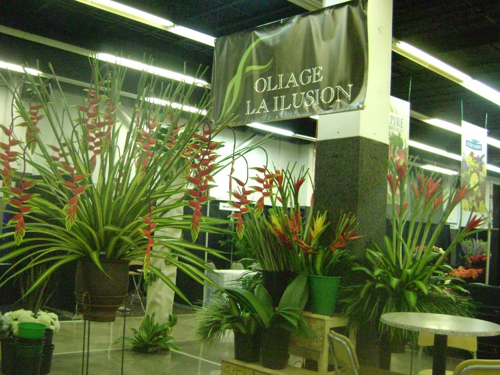 Photo of FOLIAGE LA ILUSION in Ridgefield Park City, New Jersey, United States - 1 Picture of Point of interest, Establishment, Store, Florist