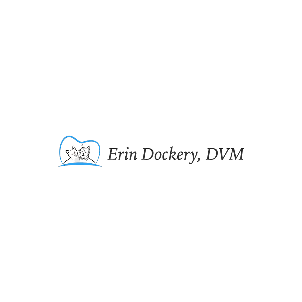 Photo of Erin Dockery DVM in Brooklyn City, New York, United States - 7 Picture of Point of interest, Establishment, Veterinary care