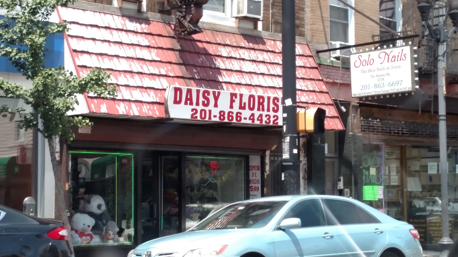 Photo of Daisy Florist in West New York City, New Jersey, United States - 1 Picture of Point of interest, Establishment, Store, Florist