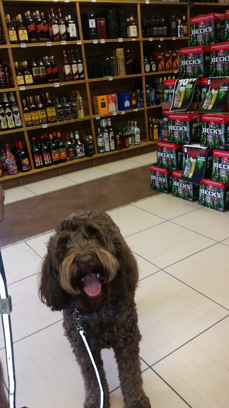 Photo of Oporto Wines & Liquors in Newark City, New Jersey, United States - 4 Picture of Food, Point of interest, Establishment, Store, Grocery or supermarket, Liquor store