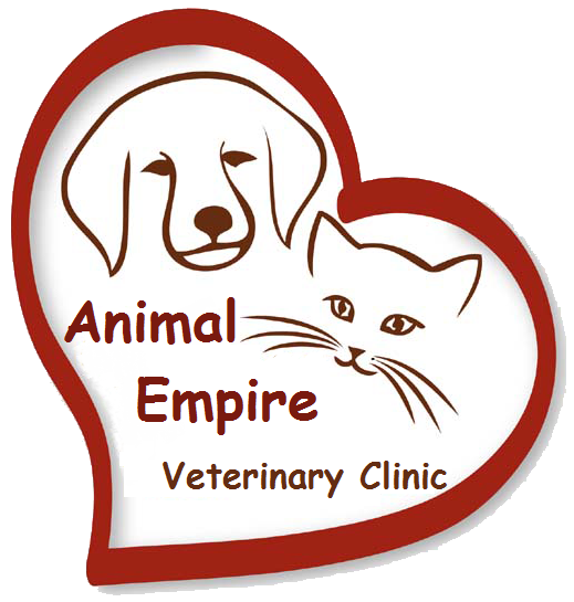 Photo of Animal Empire Veterinary Clinic in Maspeth City, New York, United States - 1 Picture of Point of interest, Establishment, Health, Veterinary care