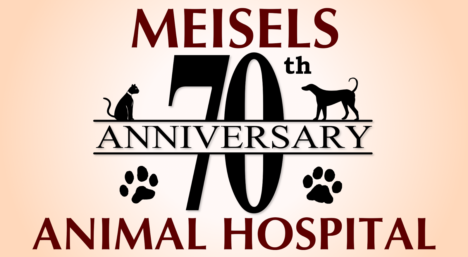 Photo of Meisels Animal Hospital in Elmwood Park City, New Jersey, United States - 6 Picture of Point of interest, Establishment, Veterinary care