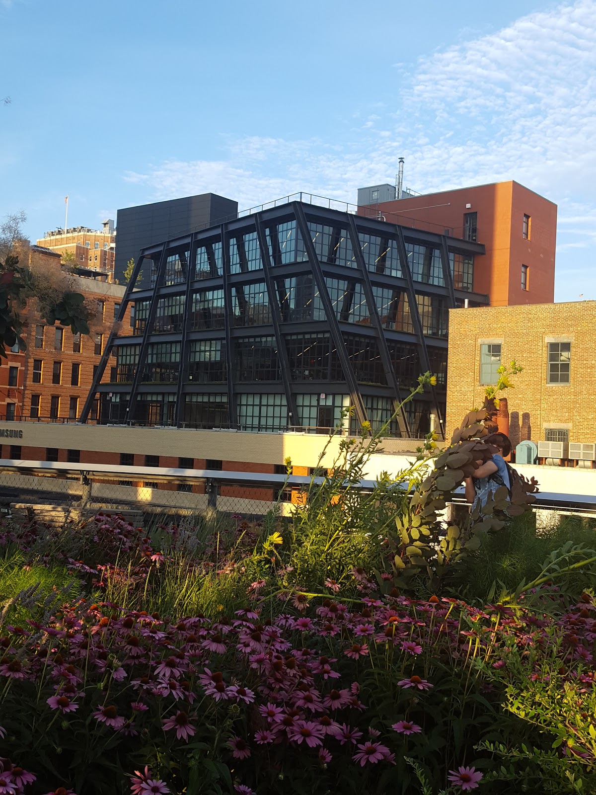 Photo of The Diller - Von Furstenberg Sundeck in New York City, New York, United States - 1 Picture of Point of interest, Establishment, Park