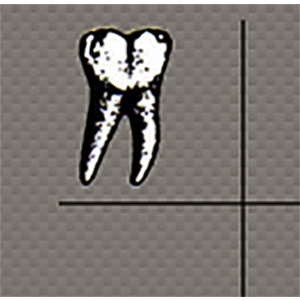 Photo of South Nassau Dental PC: Mark Billet DMD in Lawrence City, New York, United States - 7 Picture of Point of interest, Establishment, Health, Dentist