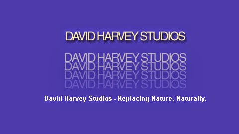 Photo of David Harvey Studios Inc. - Hair Replacement in New York City, New York, United States - 2 Picture of Point of interest, Establishment, Store, Health, Hair care