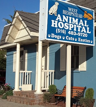 Photo of West Hempstead Animal Hospital in West Hempstead City, New York, United States - 4 Picture of Point of interest, Establishment, Veterinary care