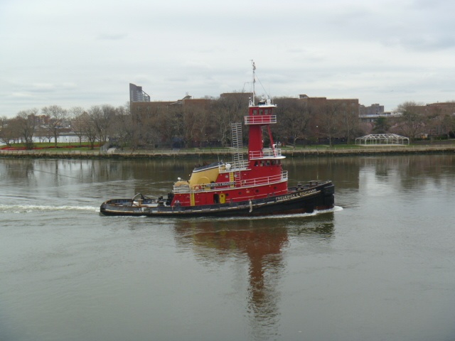 Photo of Lighthouse Park in New York City, New York, United States - 5 Picture of Point of interest, Establishment, Park