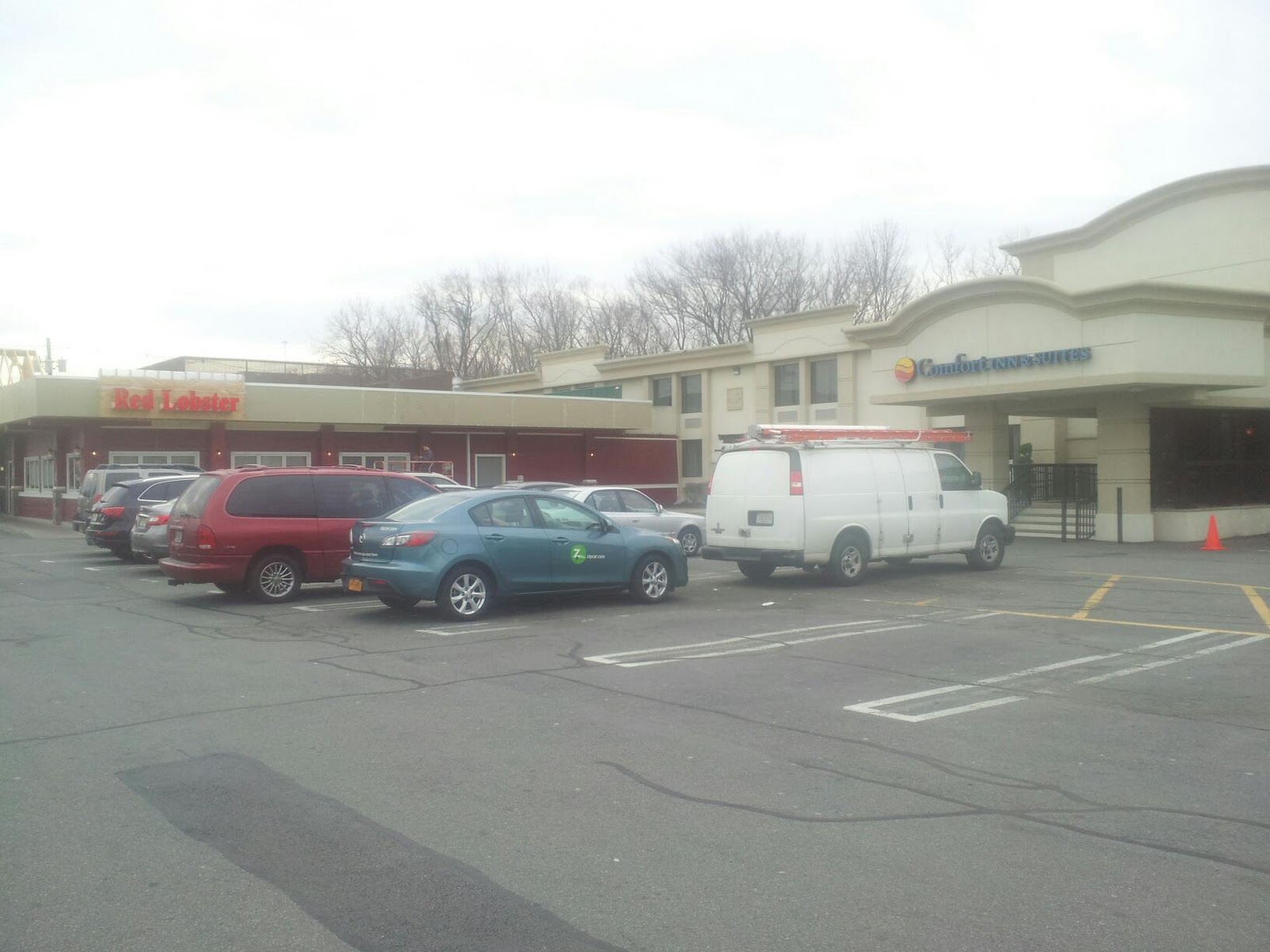 Photo of Red Lobster in Paramus City, New Jersey, United States - 5 Picture of Restaurant, Food, Point of interest, Establishment, Meal takeaway