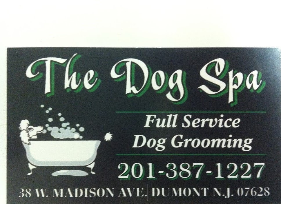 Photo of The Dog Spa in Dumont City, New Jersey, United States - 2 Picture of Point of interest, Establishment