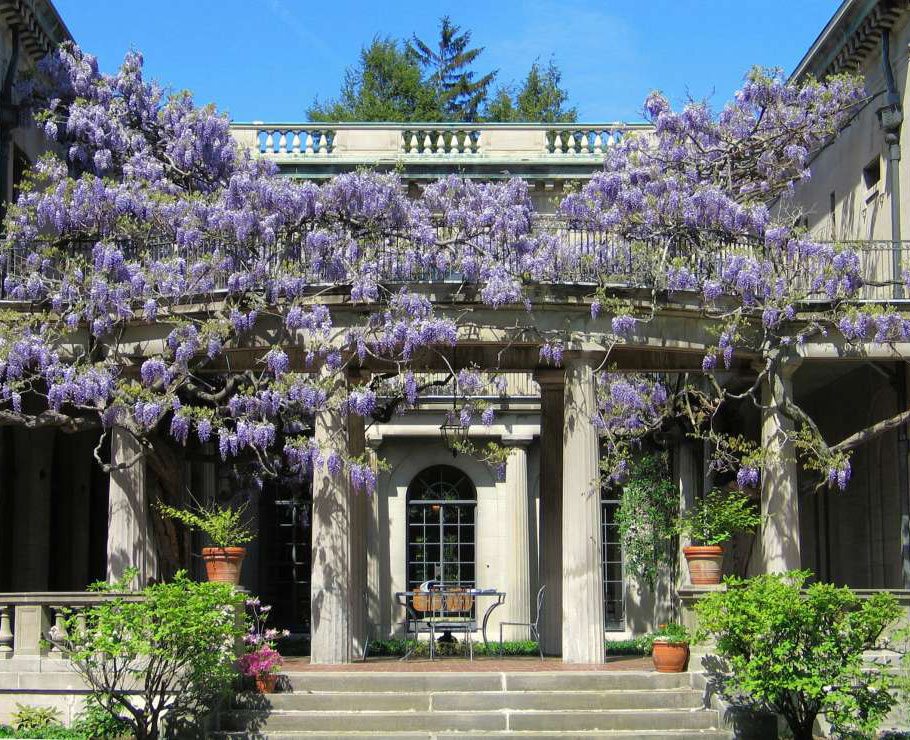 Photo of Van Vleck House & Gardens in Montclair City, New Jersey, United States - 2 Picture of Point of interest, Establishment, Store, Park