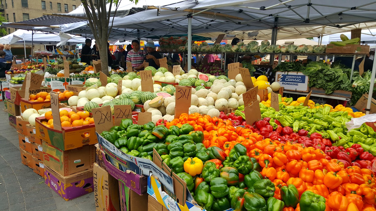 Photo of Plaza de Las Americas in New York City, New York, United States - 5 Picture of Food, Point of interest, Establishment, Park