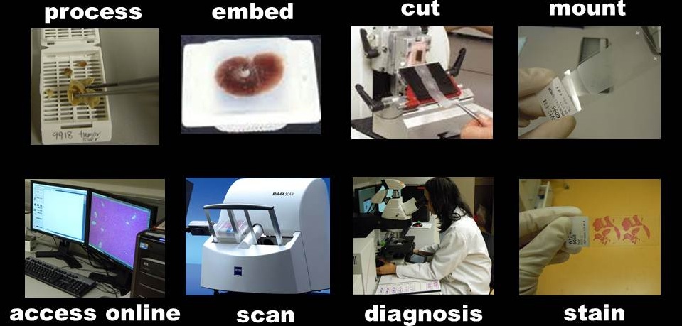 Photo of HistoWiz in Brooklyn City, New York, United States - 6 Picture of Point of interest, Establishment