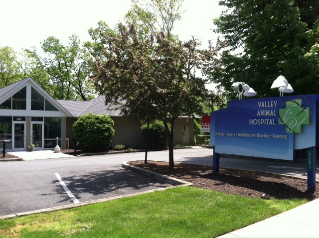 Photo of Valley Animal Hospital in Clifton City, New Jersey, United States - 1 Picture of Point of interest, Establishment, Health, Veterinary care
