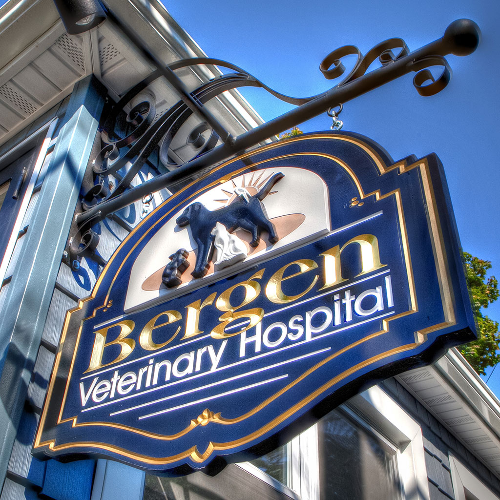 Photo of Bergen Veterinary Hospital in Teaneck City, New Jersey, United States - 1 Picture of Point of interest, Establishment, Veterinary care