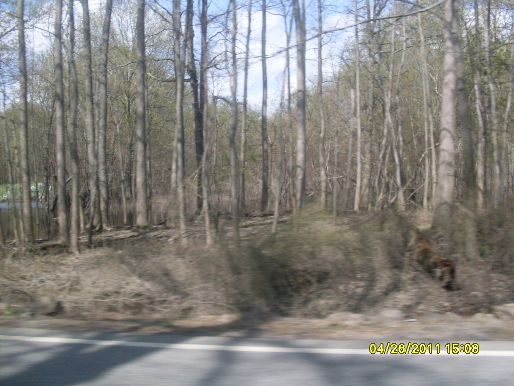 Photo of Great Piece Meadows in Fairfield City, New Jersey, United States - 1 Picture of Point of interest, Establishment, Park