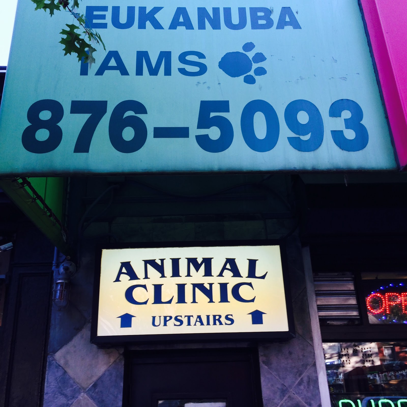 Photo of Ideal Pet Veterinary Clinic in New York City, New York, United States - 2 Picture of Point of interest, Establishment, Health, Veterinary care