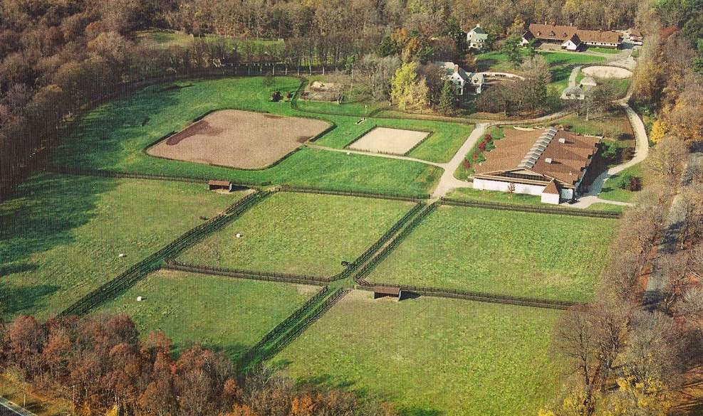 Photo of Old Westbury Equestrian Center in Old Westbury City, New York, United States - 2 Picture of Point of interest, Establishment