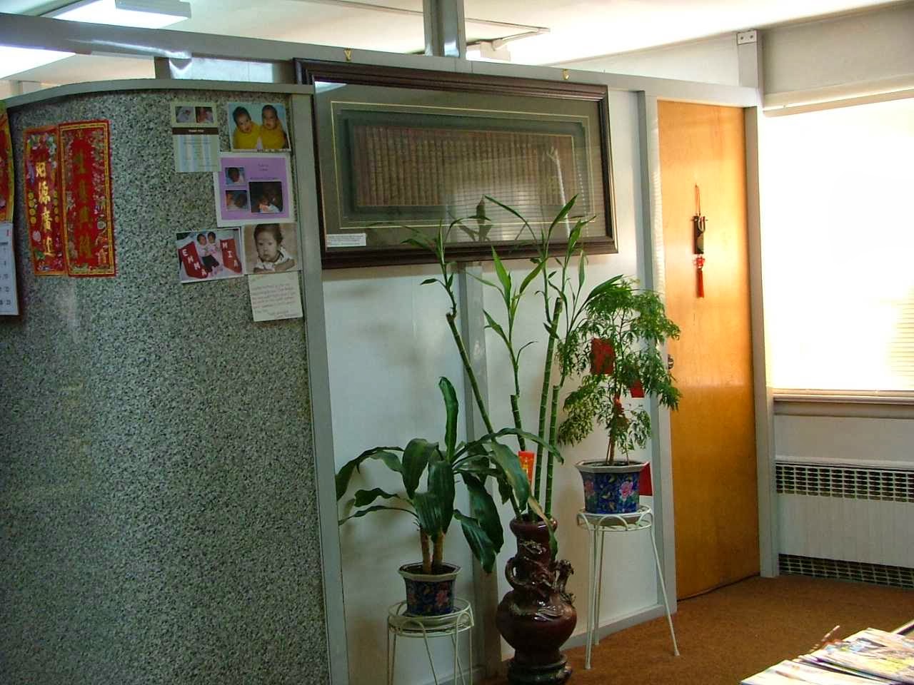 Photo of Wan-Mei Woo Acupuncture & Herbal Ctr in New York City, New York, United States - 2 Picture of Point of interest, Establishment, Health