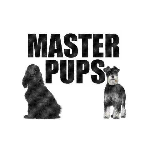 Photo of Master Pups in Flushing City, New York, United States - 3 Picture of Point of interest, Establishment, Store, Pet store