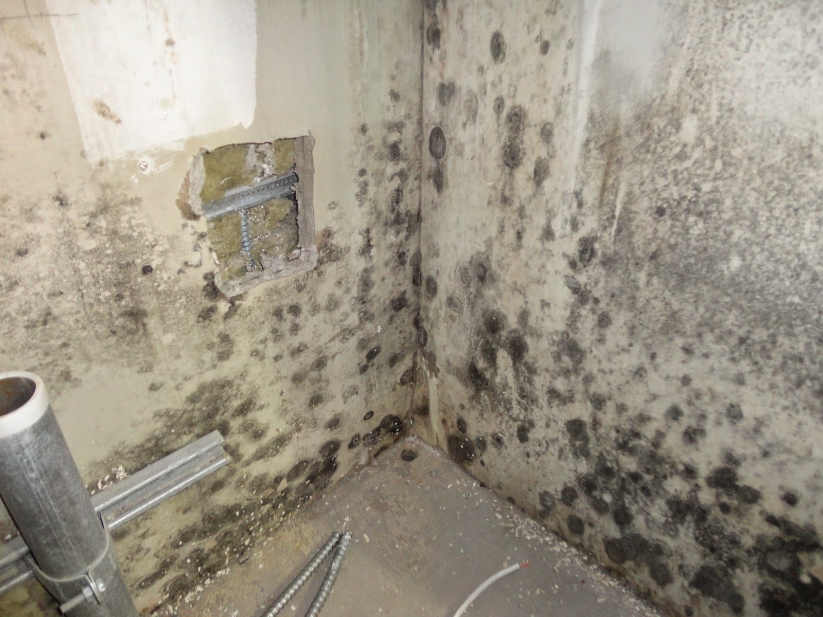 Photo of Reliable Mold Removal Svc in Queens City, New York, United States - 3 Picture of Point of interest, Establishment, General contractor