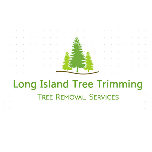Photo of Long Island Tree Trimming in Long Beach City, New York, United States - 6 Picture of Point of interest, Establishment