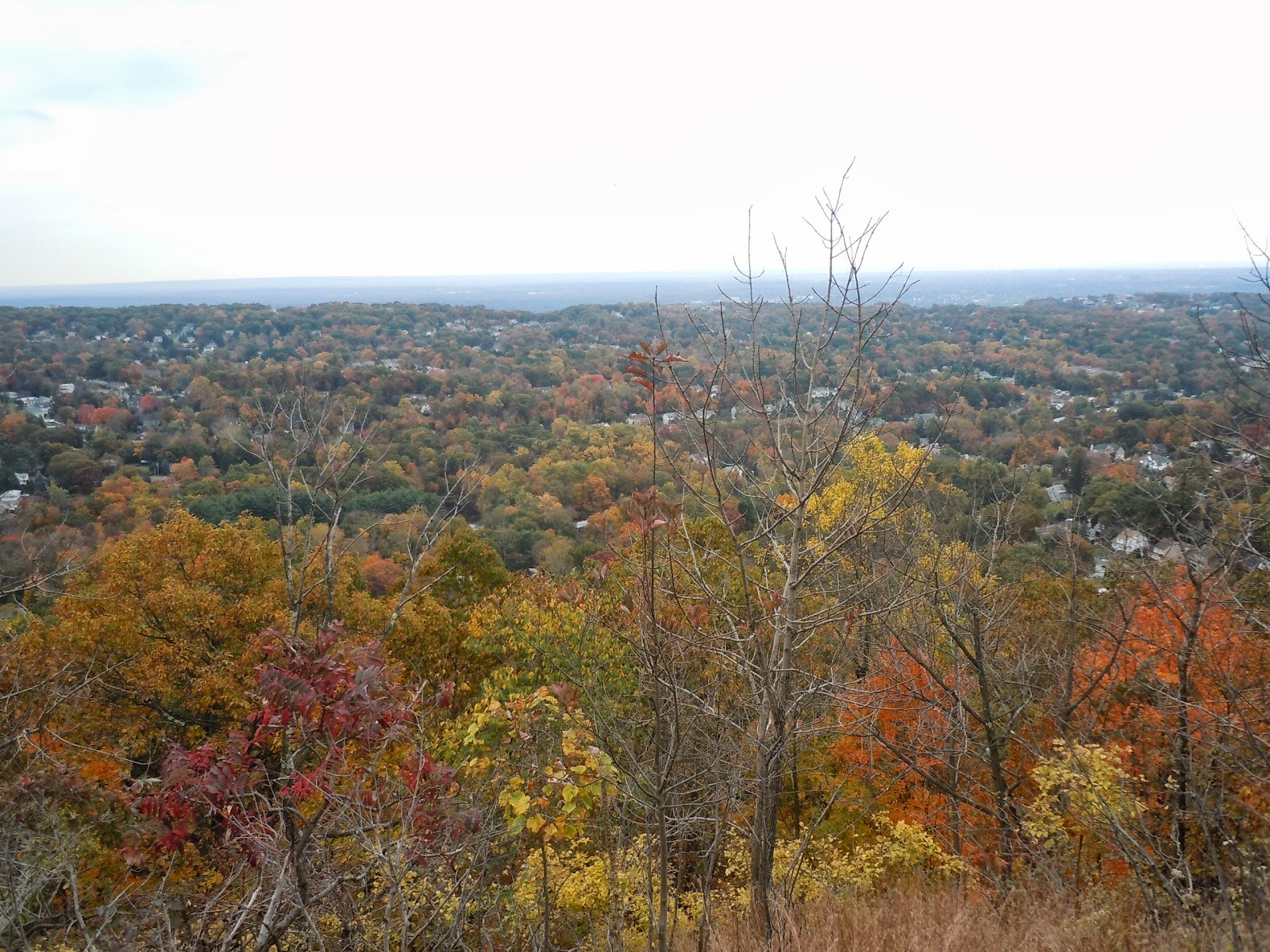 Photo of High Mountain Park Preserve in Wayne City, New Jersey, United States - 1 Picture of Point of interest, Establishment, Park