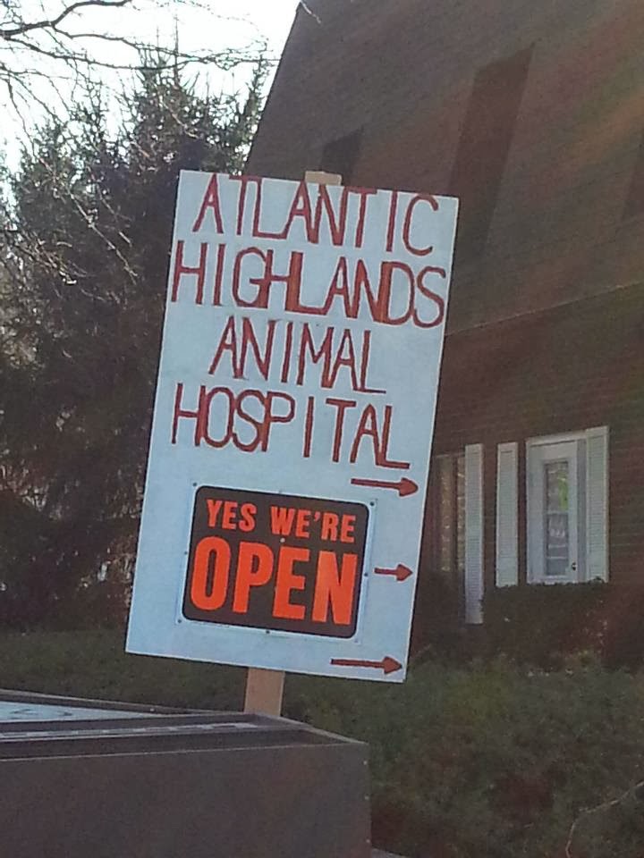 Photo of Atlantic Highlands Animal Hospital in Atlantic Highlands City, New Jersey, United States - 8 Picture of Point of interest, Establishment, Health, Veterinary care