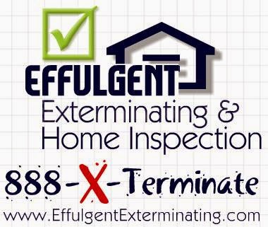 Photo of Effulgent Exterminating & Home Inspection in Kings County City, New York, United States - 1 Picture of Point of interest, Establishment, Store, Home goods store