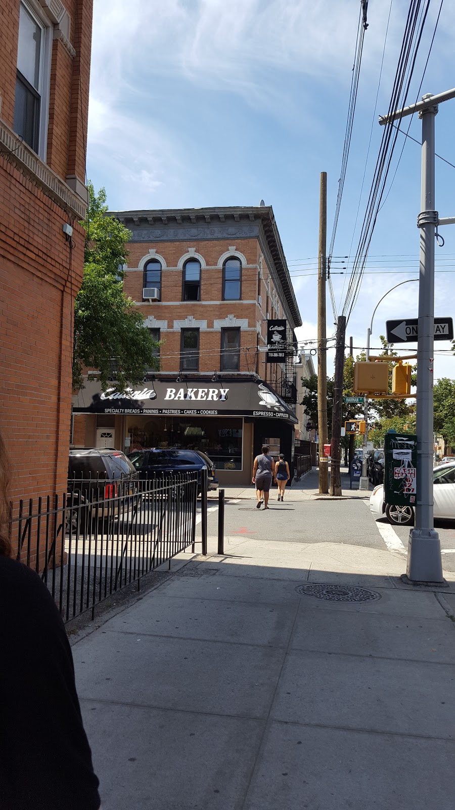 Photo of Catania Bakery in Kings County City, New York, United States - 2 Picture of Food, Point of interest, Establishment