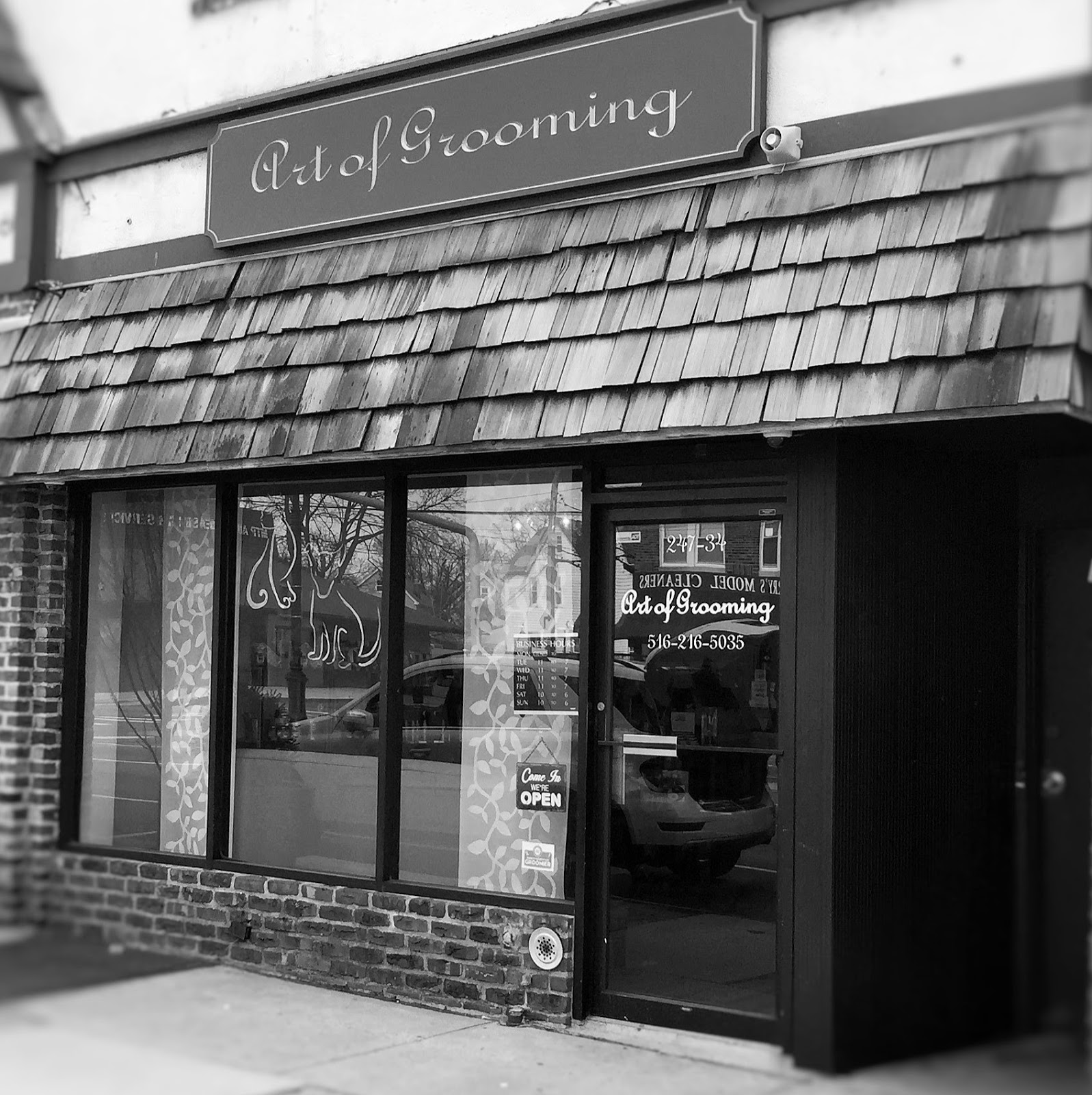 Photo of Art of Grooming in Floral Park City, New York, United States - 1 Picture of Point of interest, Establishment