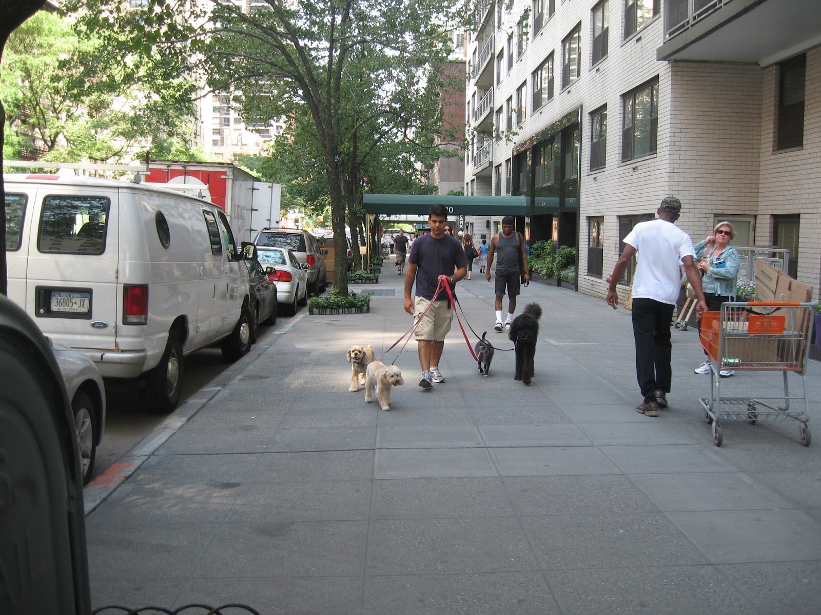 Photo of Murillo Bezerra Dog Walker in New York City, New York, United States - 1 Picture of Point of interest, Establishment