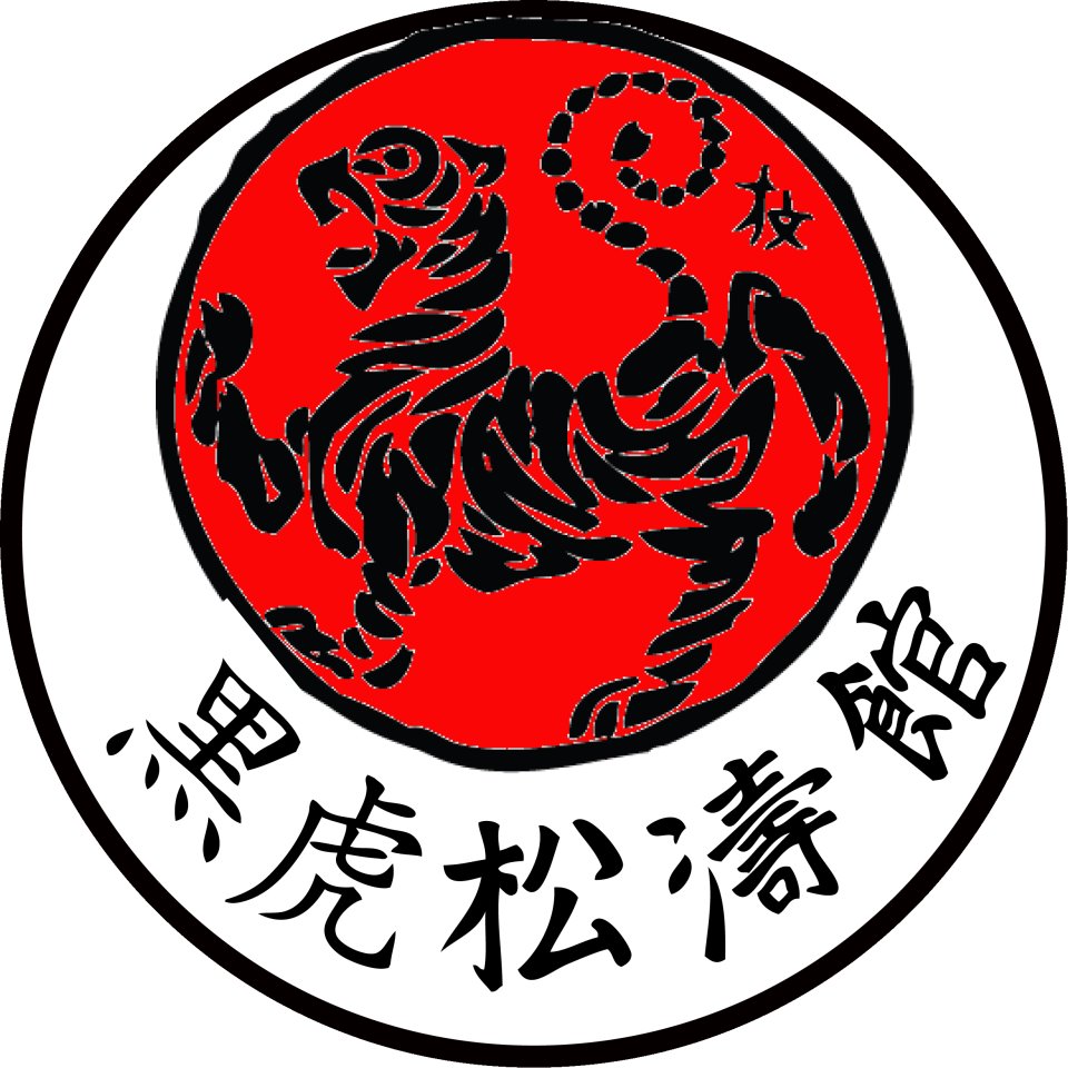 Photo of Shotokan Karate Studio LLC in Queens City, New York, United States - 3 Picture of Point of interest, Establishment, Health