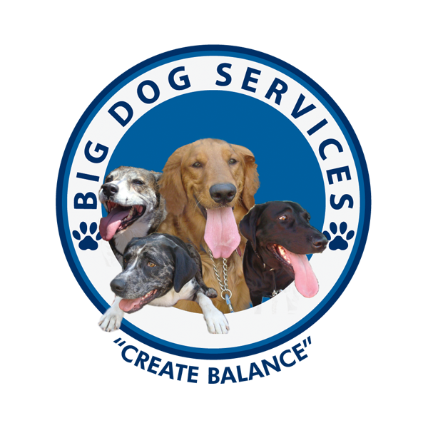 Photo of Big Dog Services in Glendale City, New York, United States - 1 Picture of Point of interest, Establishment, Store, Pet store