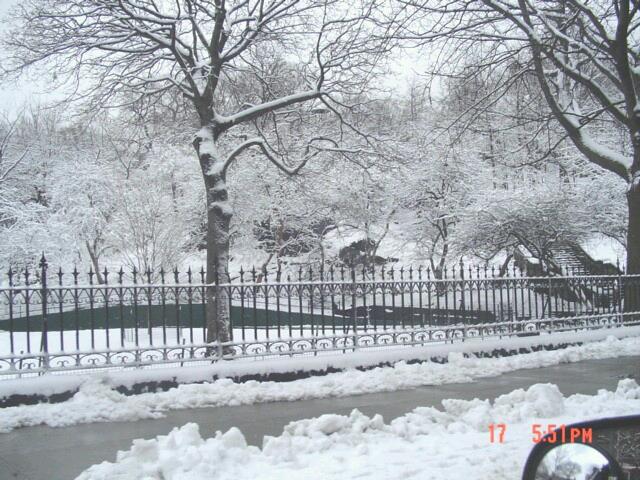 Photo of Marcus Garvey Park in New York City, New York, United States - 2 Picture of Point of interest, Establishment, Park