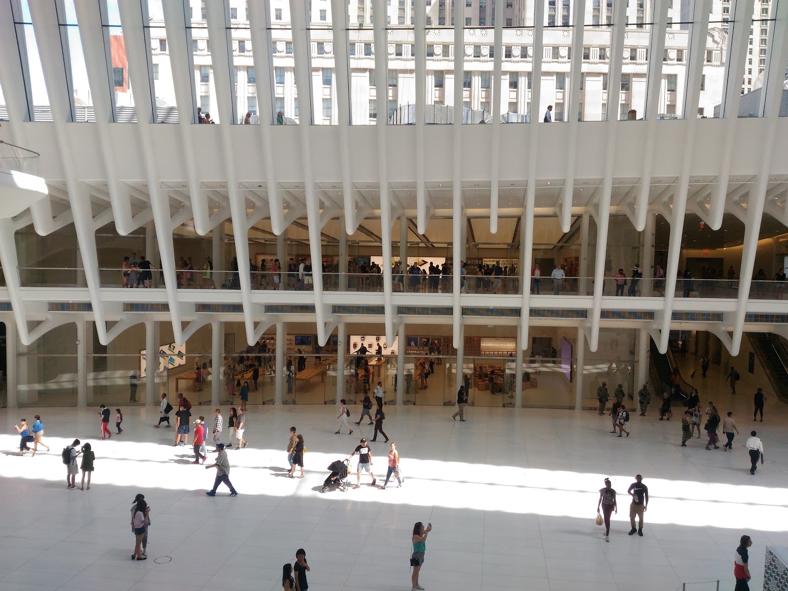 Photo of Apple World Trade Center in New York City, New York, United States - 2 Picture of Point of interest, Establishment, Store, Electronics store