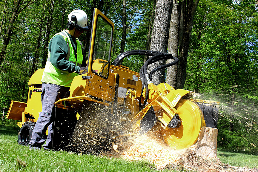 Photo of the Tree and Stump Pros in Clark City, New Jersey, United States - 2 Picture of Point of interest, Establishment