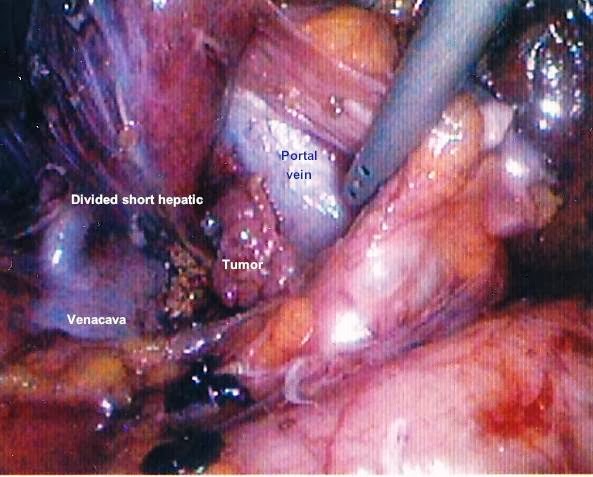 Photo of Dr. Andrew N de la Torre, MD in Englewood City, New Jersey, United States - 5 Picture of Point of interest, Establishment, Health, Doctor