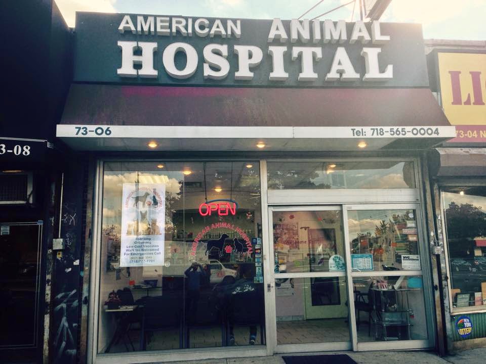 Photo of American Animal Hospital in Queens City, New York, United States - 1 Picture of Point of interest, Establishment, Veterinary care