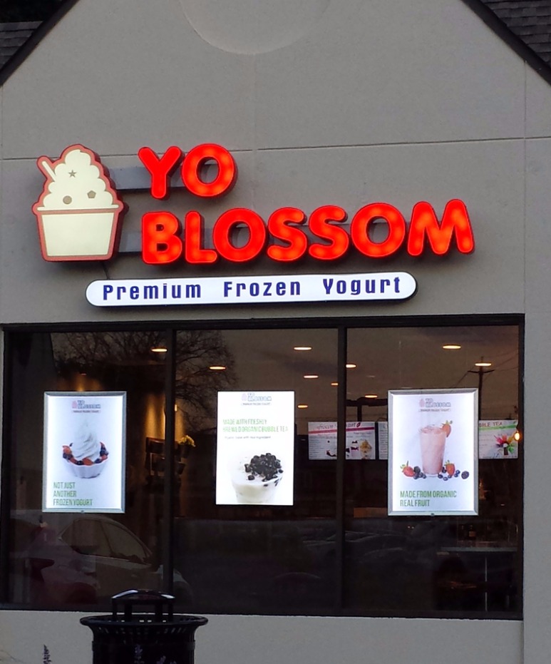 Photo of Yo blossom in Glen Cove City, New York, United States - 4 Picture of Food, Point of interest, Establishment, Store