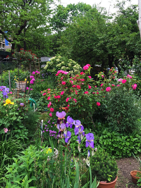 Photo of LaGuardia Corner Gardens in New York City, New York, United States - 6 Picture of Point of interest, Establishment, Park