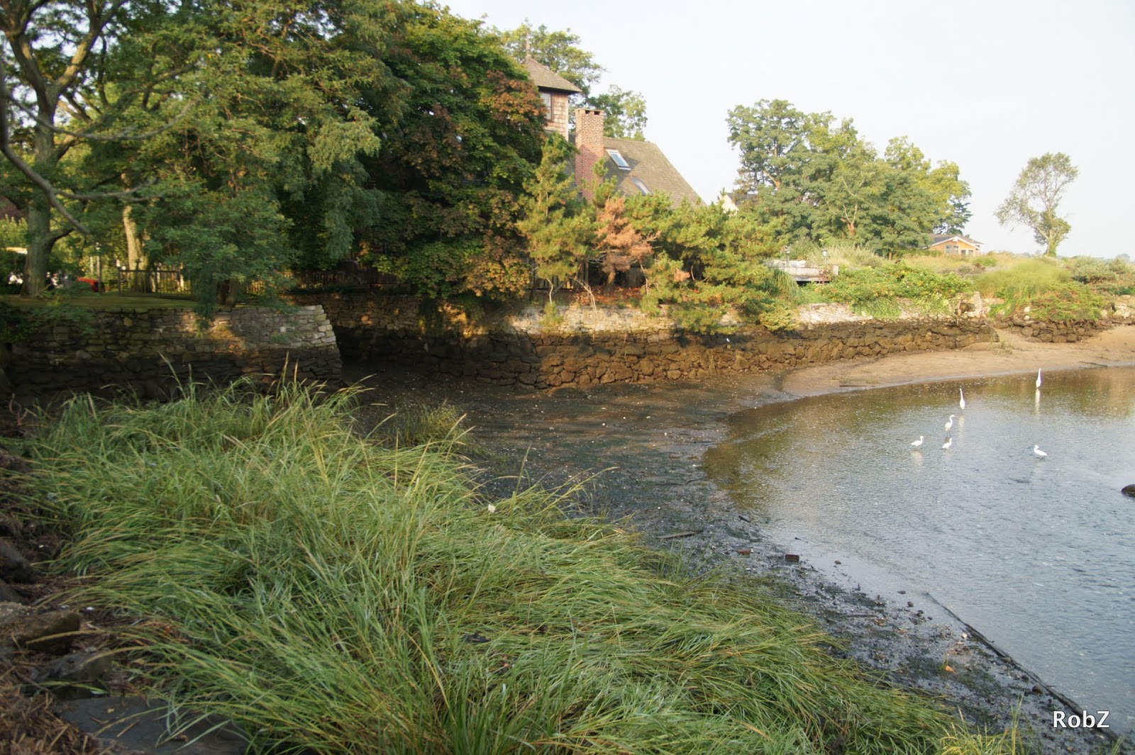 Photo of Leeds Pond Preserve in Port Washington City, New York, United States - 1 Picture of Point of interest, Establishment, Park