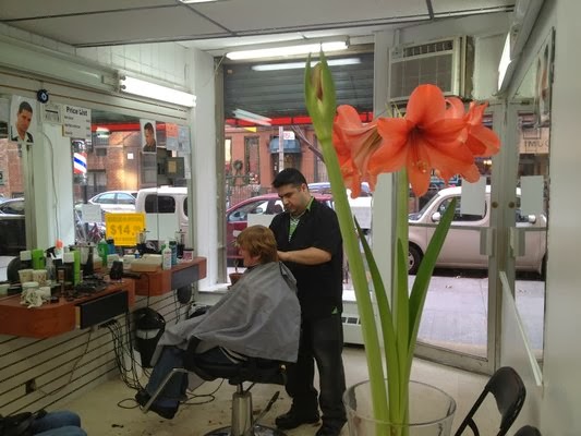 Photo of barbershop in New York City, New York, United States - 1 Picture of Point of interest, Establishment, Health, Hair care