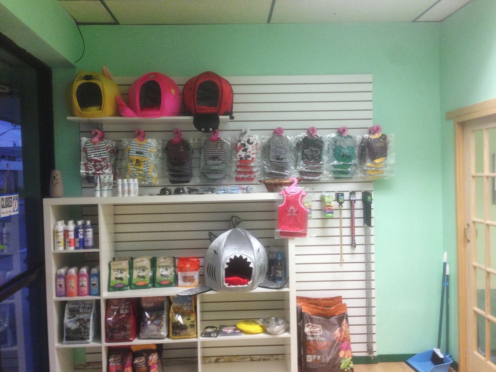 Photo of Doggy street Dog Grooming in Queens City, New York, United States - 3 Picture of Point of interest, Establishment