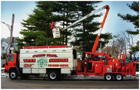 Photo of Owens Brothers Tree Service in Bronx City, New York, United States - 2 Picture of Point of interest, Establishment