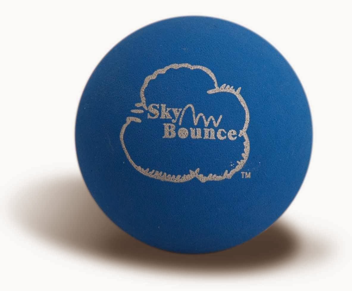 Photo of Sky Bounce, LLC in Queens City, New York, United States - 3 Picture of Point of interest, Establishment