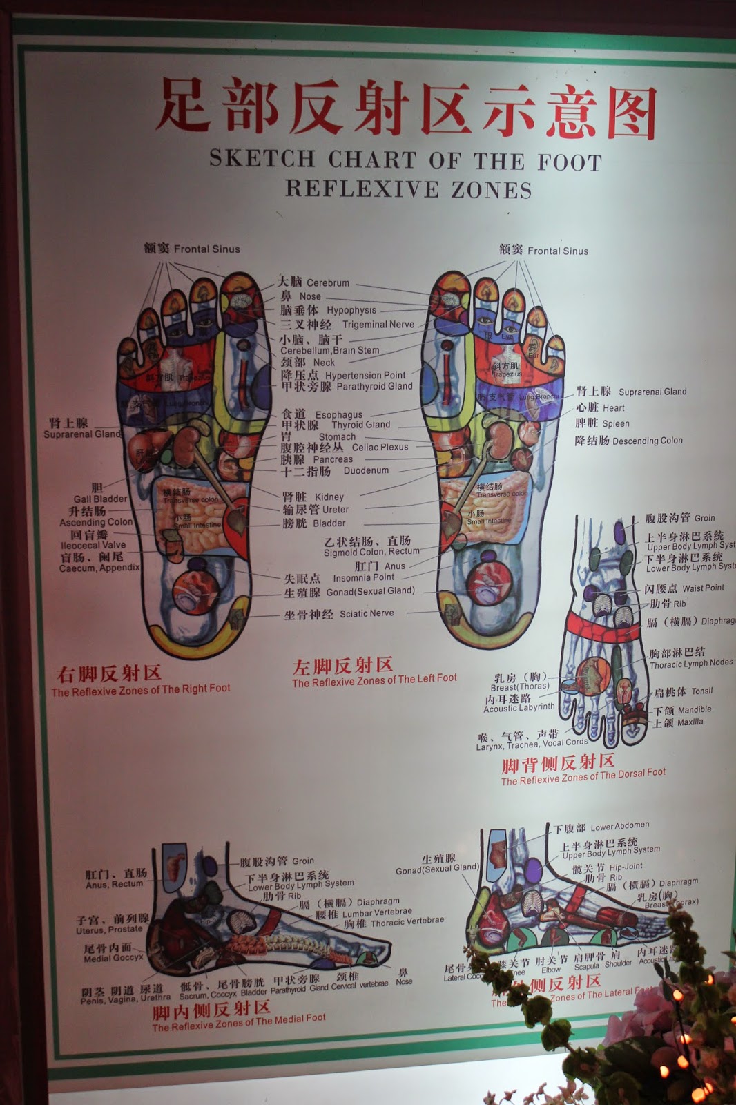 Photo of Foot Heaven in New York City, New York, United States - 2 Picture of Point of interest, Establishment, Health